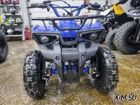 Квадроцикл PROMAX ATV MINI 2T 50CC р/с