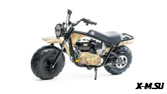 Мотоцикл MOTOLAND (МОТОЛЕНД) RT200