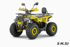 Квадроцикл WELS Trail 125 Pro