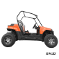 Багги HOOLEOX 300